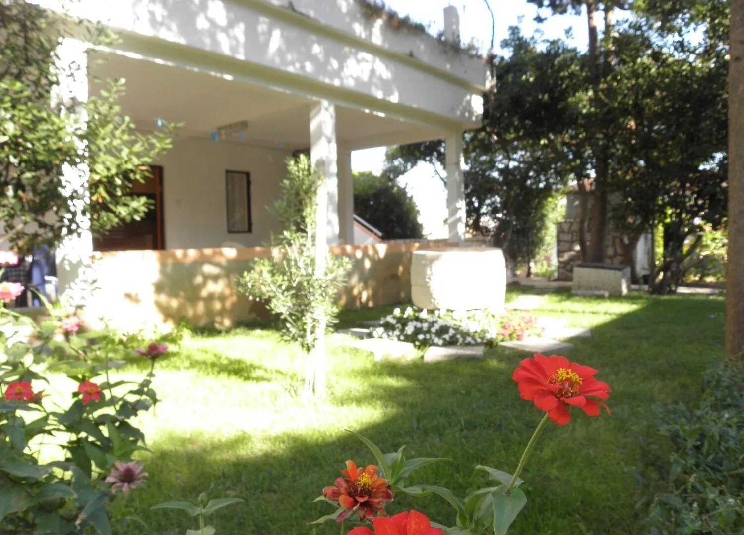 Apartments Ivo Pag Town 0*,